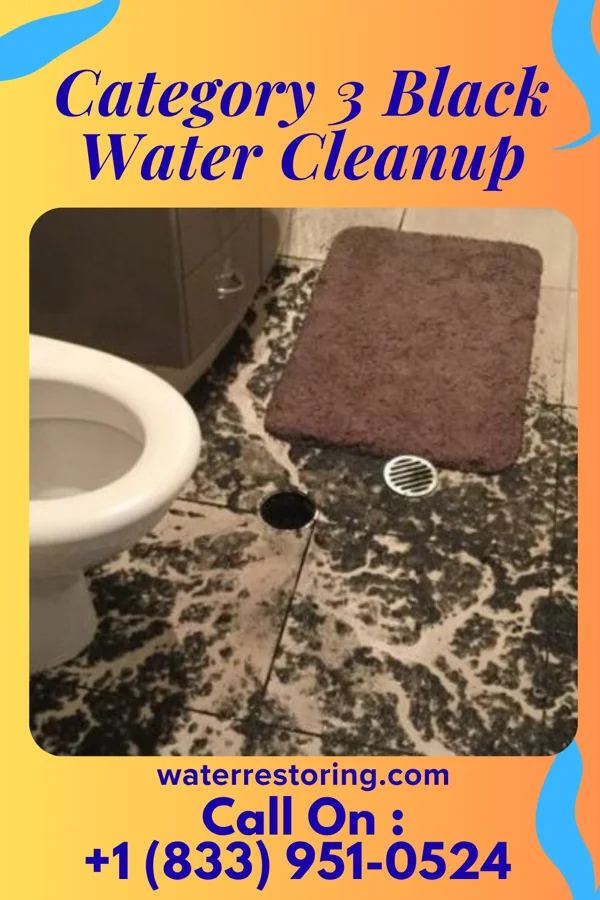 Category 3 Black Water Cleanup in Fairmont, NE
