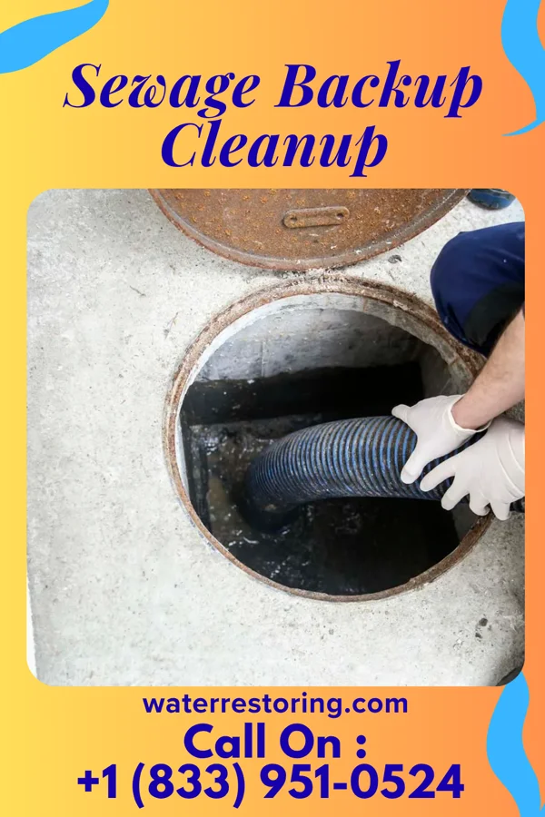 Sewage Backup Cleanup in Fairmont, NE